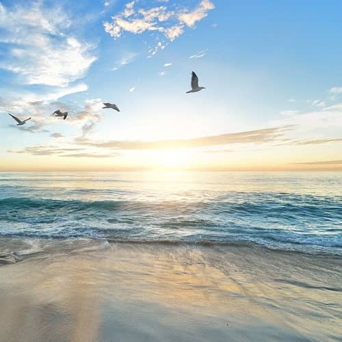 Photographie d'un coucher de soleil sur la mer, disponible en ligne sur Pixabay : https://pixabay.com/fr/photos/plage-des-oiseaux-mer-oc%c3%a9an-1852945/