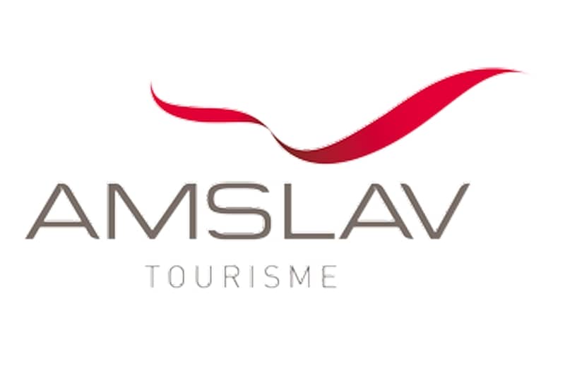 logo amslav