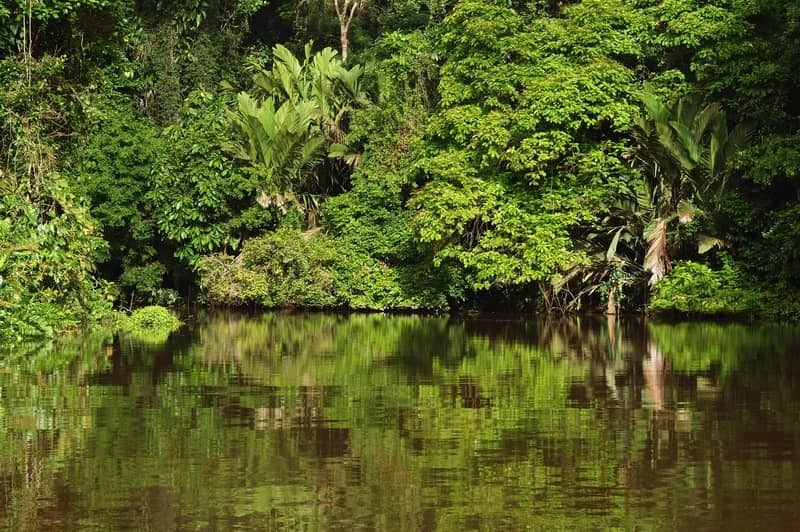 Circuit Costa Rica : Où la nature prend vie <font color=#d90009>50 € de remise inclus</font>