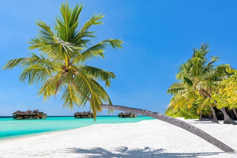 Voyage de noces aux Maldives