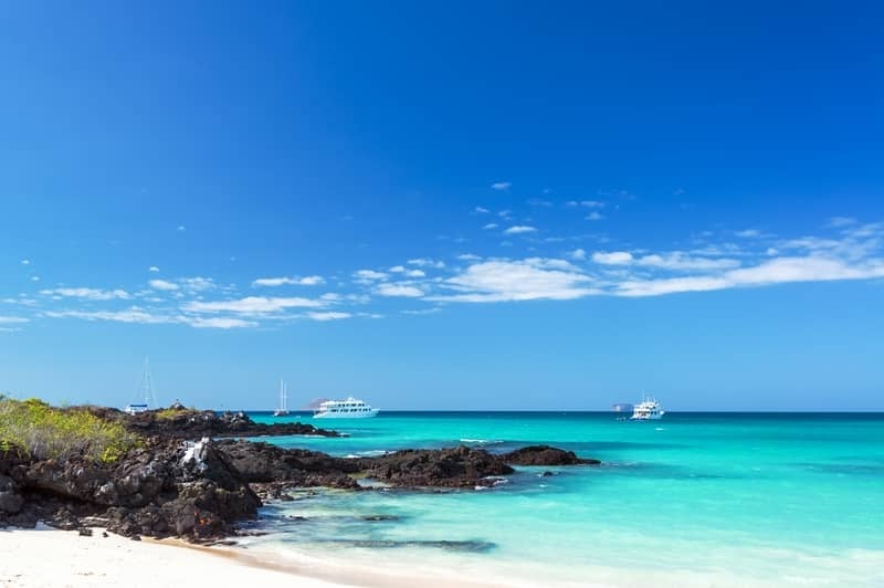Croisire exclusive : Expdition aux Galapagos