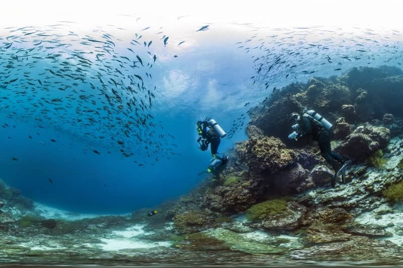 Croisire exclusive : Expdition aux Galapagos