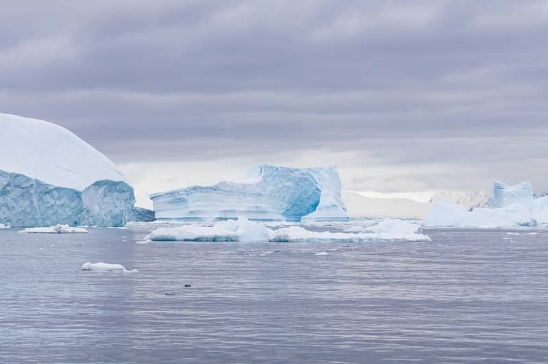 A la dcouverte du continent blanc : Pninsule Antarctique