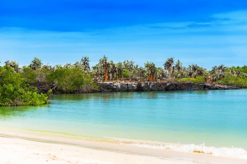 Croisire d'expdition dans les les Galpagos