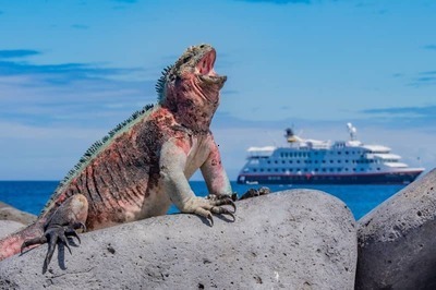 Croisire d'expdition dans les les Galpagos