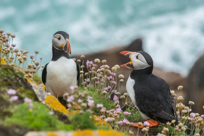 L'Europe Atlantique : Entre Ocan, Fleuves et Finistres