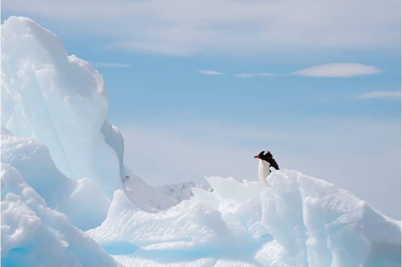 Le Passage du Nord Ouest : Au coeur du Haut-Arctique