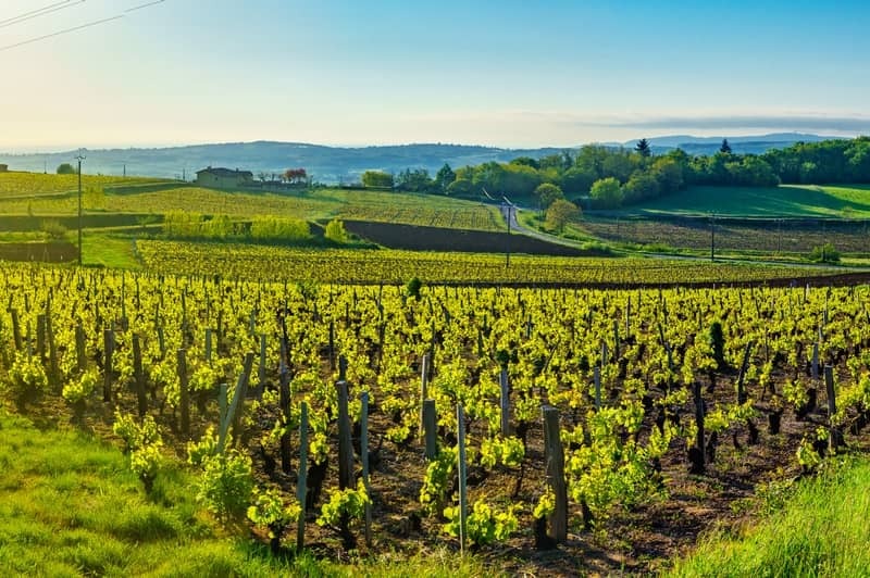 Croisire fluviale : Le Rhne, de la Bourgogne  la Camargue