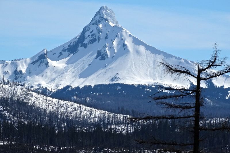 DPART DOMICILE : Croisire en Patagonie