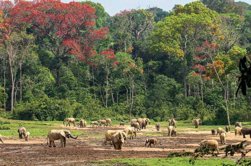 EMBARQUEMENT BRAZZAVILLE : Croisi�re Fleuve Congo