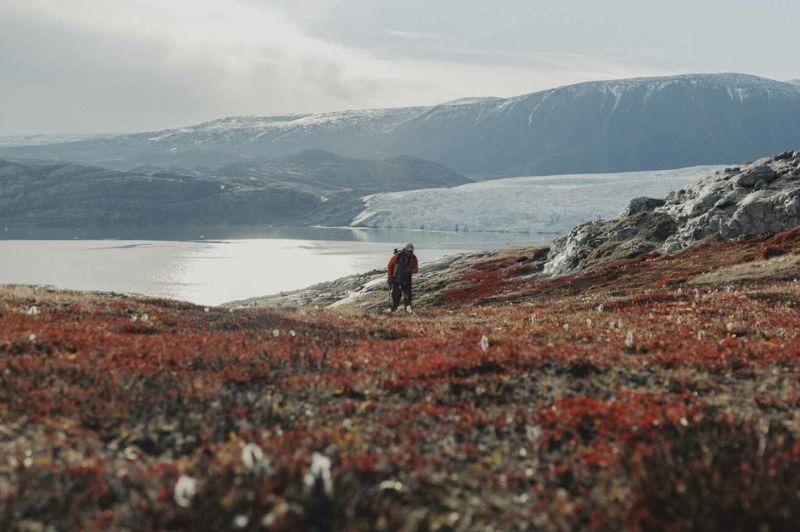 VOLS INCLUS : Groenland - Extr�me Nord-Est, entre Banquises & Icebergs