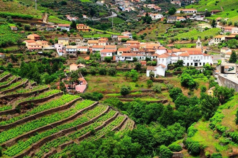 DPART DOMICILE : L'or du Douro