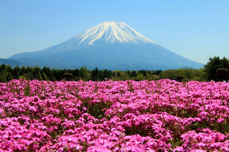 Japon & Ta�wan 