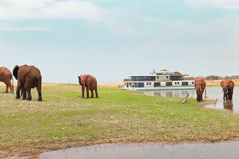 D�PART DOMICILE : Safari-Croisi�re au fil du Zamb�ze