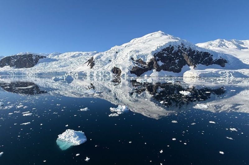 🇫🇷 Merveilles de l'Antarctique � Accompagnateur fran�ais