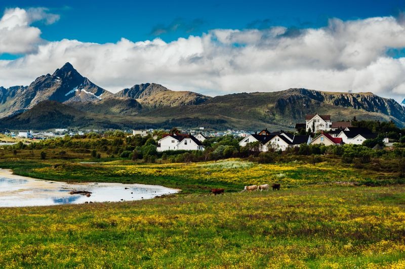 D�PART DOMICILE : Magie des Fjords Norv�giens