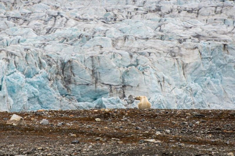 🇫🇷 Spitzberg / Svalbard - Au royaume de la banquise