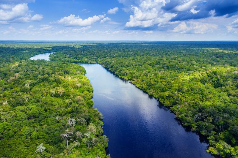 🇫🇷 Amazonie & 3 fleuves du Br�sil