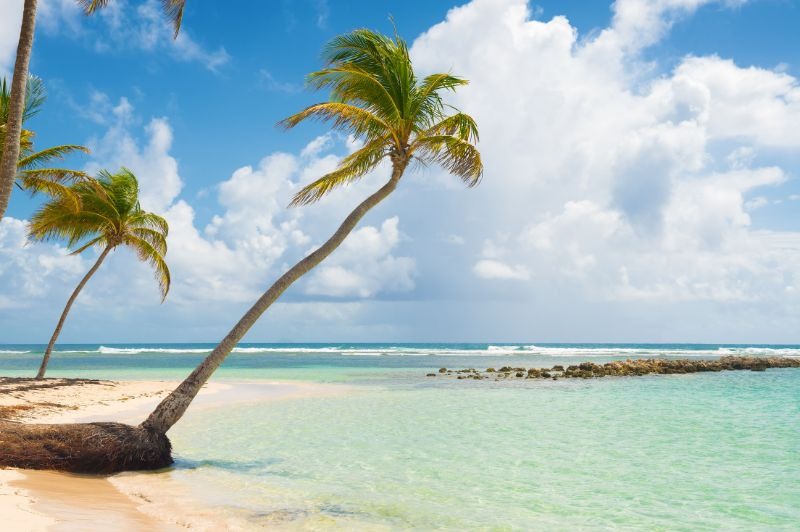 D�PART DOMICILE : Transatlantique Canada Cara�bes