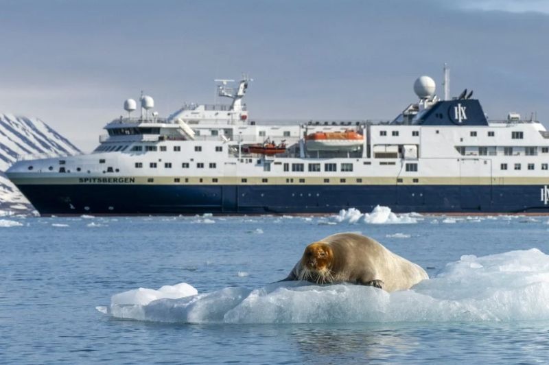 🇫🇷 Norv�ge & Arctique : � la lueur des aurores bor�ales